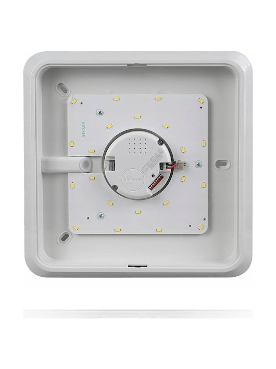 Best Service Ceiling Mount Light