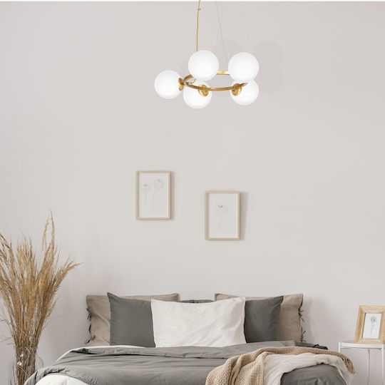 Domoletti Pendant Light Gold for 5 Bulbs E14, E.14