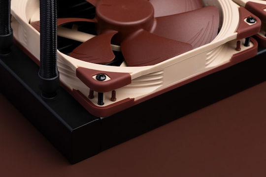 Noctua Schwarz
