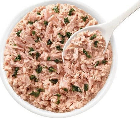 Wet Food for Cats with Tuna 70gr