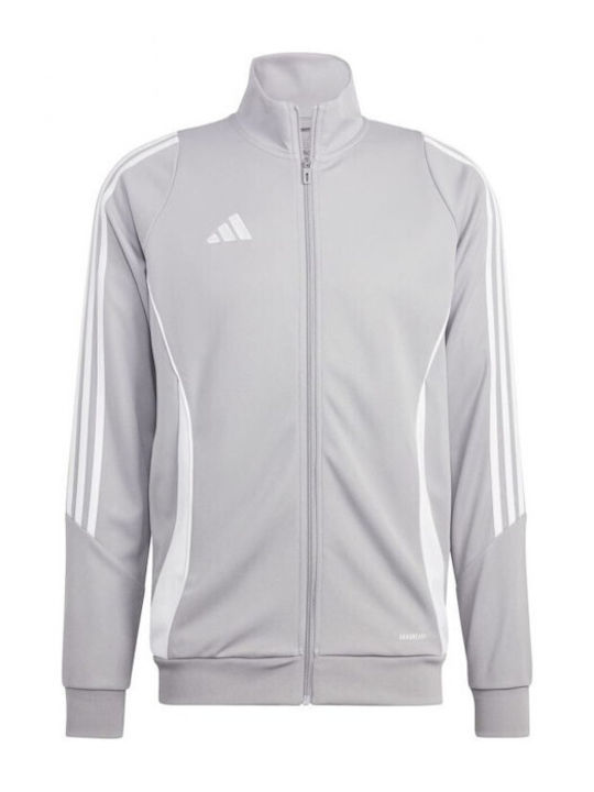 adidas Gray