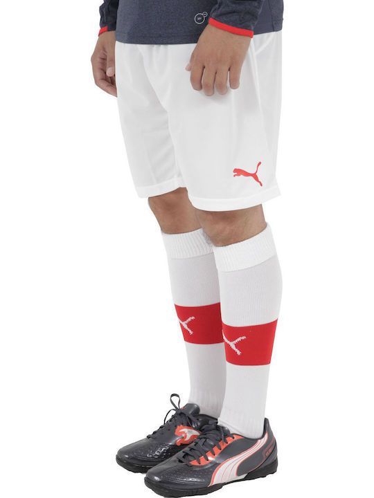 Puma Εντός Έδρας 2013/14 Replica Ανδρικό Σορτς Εμφάνισης Ποδοσφαίρου