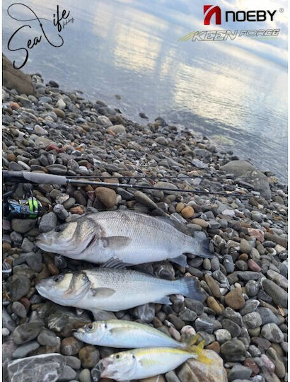 Noeby Fishing Reel for Spinning, Eging, Shore Jigging, Casting, Surf Casting, Vertical, Trolling and Inchiku