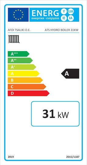 Thermiki ATS Hidraulic Boiler pentru / lemn 26655kcal/h