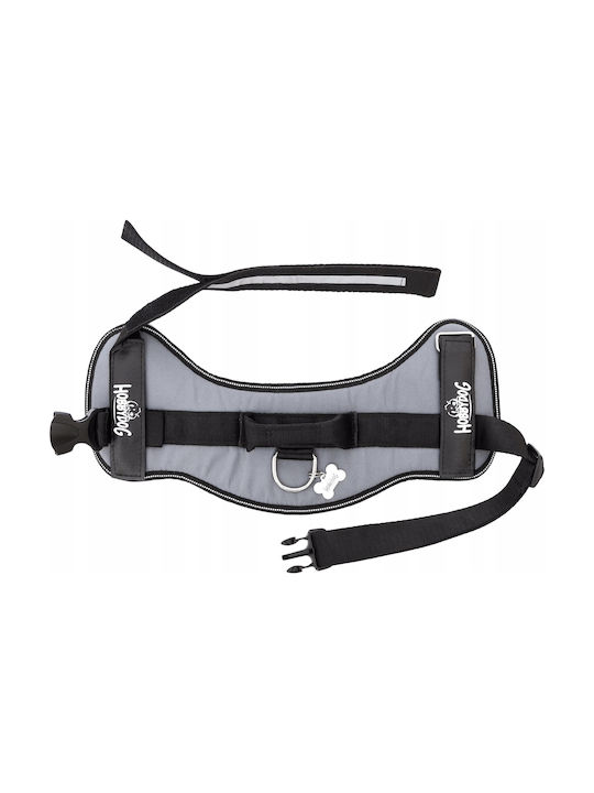 Hobbydog R4 Σελκι Julletta Popiel