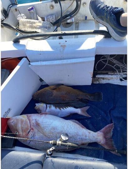 Noeby Μηχανισμός Ψαρέματος για Slow Jigging / Συρτή / Καθετή / Μολύβι Φύλακας / Inchiku για Αριστερόχειρες