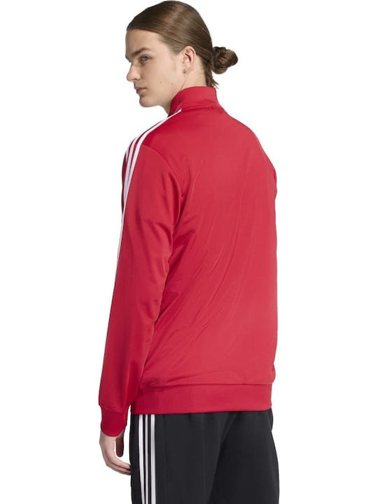 Sweatshirt Red
