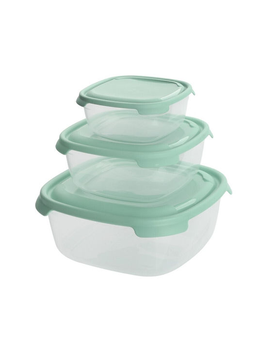 Viosarp Plastic Lunch Box 3pcs