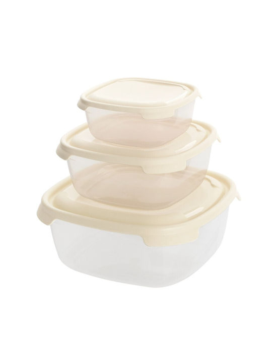 Viosarp Plastic Lunch Box 3pcs