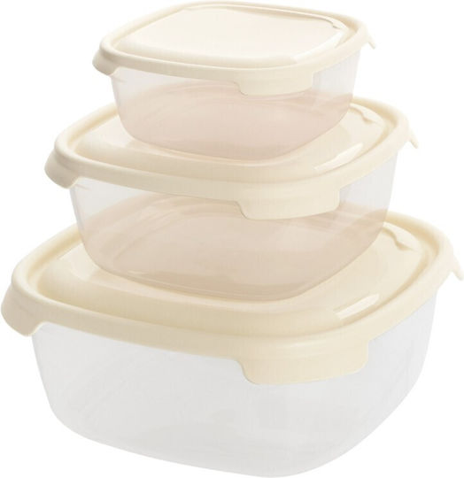 Viosarp Plastic Lunch Box 3pcs