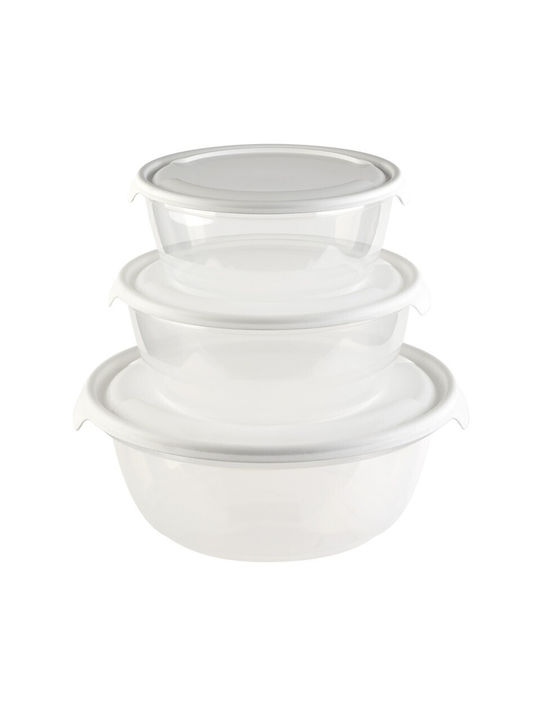 Viosarp Plastic Lunch Box 3pcs