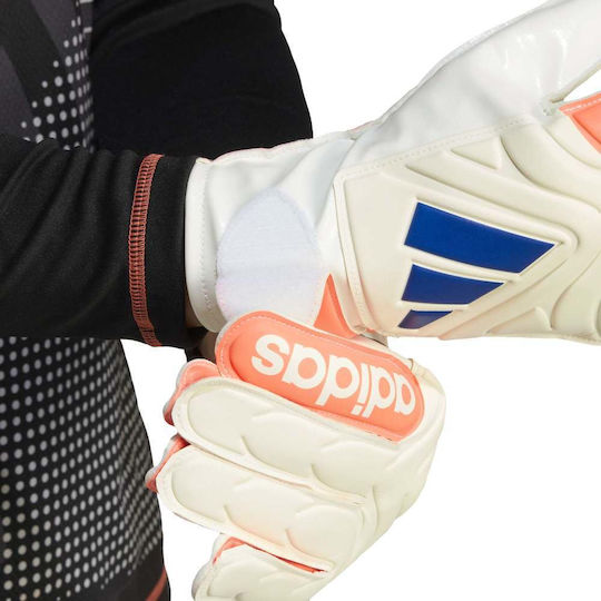 adidas Copa Gl Clb Γάντια Τερματοφύλακα Ενηλίκων Μπεζ