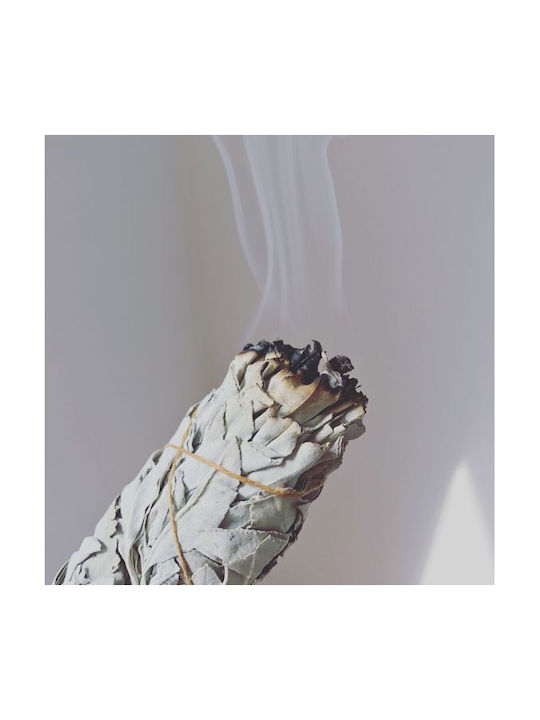 White Sage Smudge Stick 10χ3cm 3 Ραβδιά Θυμιάματος Λευκό Φασκόμηλο