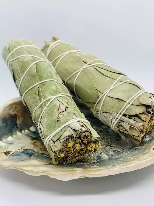White Sage Eucalyptus Smudge Stick 10χ3cm Ραβδί Θυμιάματος Φασκόμηλο Ευκάλυπτος