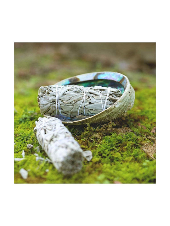 White Sage Smudge Stick 10χ3cm 3 Ραβδιά Θυμιάματος Λευκό Φασκόμηλο