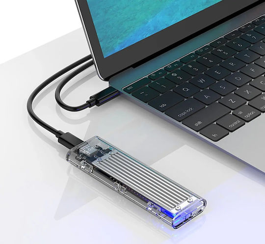 Orico Case for Hard Drive M.2 PCI Express with Connection USB 3.1 Silver