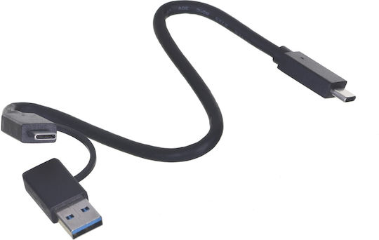 Unitek Carcasă pentru unitate de hard disk M.2 SATA III / PCI Express NVME cu conexiune Tip-C
