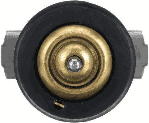 Thermostat Coolant Gates Th63879g1
