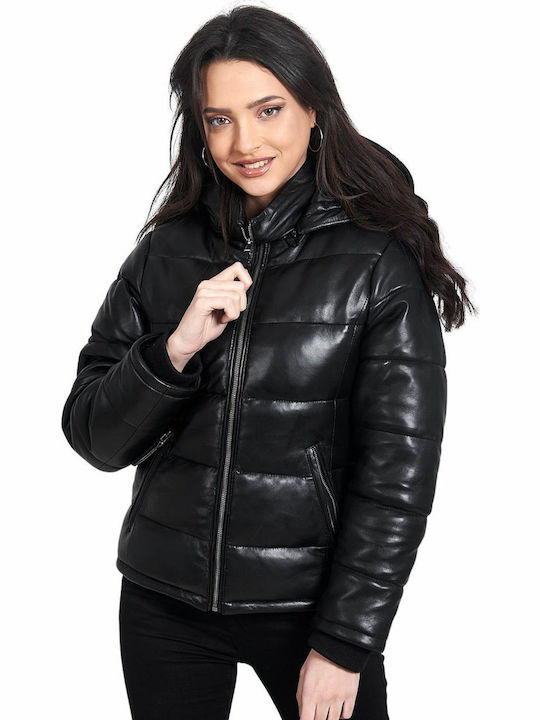 Vainas