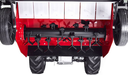 IBEA Tăietoare de iarbă Distrugător Benzină 8.4hp