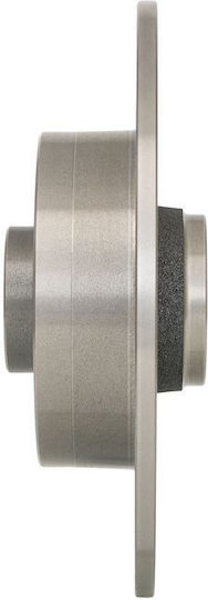 Bosch Brake Disc