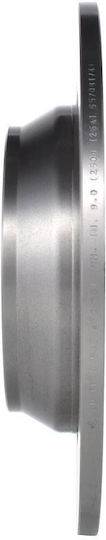 Bosch Brake Disc