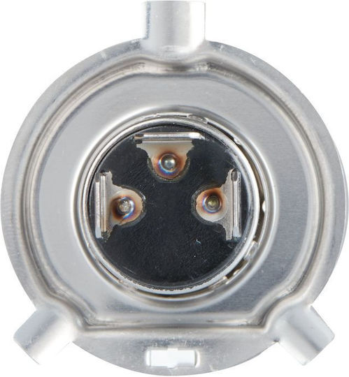 Bosch Lampen LKW Eco H4 Halogen 24V 1Stück