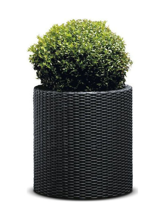 Large Gray Cylinder Flower Pot