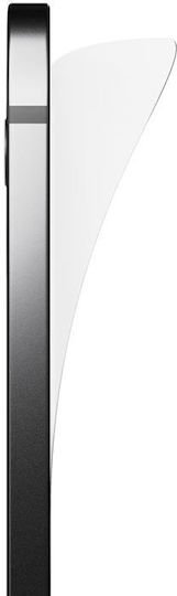 Paperlike Screen Protector (iPad Pro 12.9" (Apple))