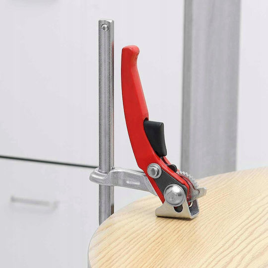 Carpenter Squeeze 80x 600mm Steel Forged + Ratchet