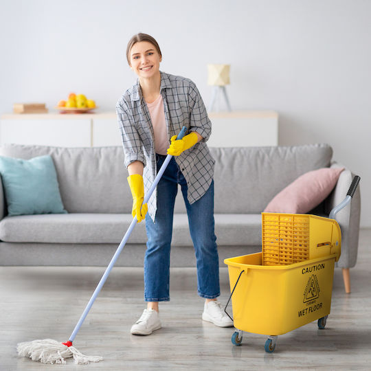 Homcom Reinigungswagen Und Haushaltswaren 20l Presse Set Staubsauger Eimer Wischmopp Rollen