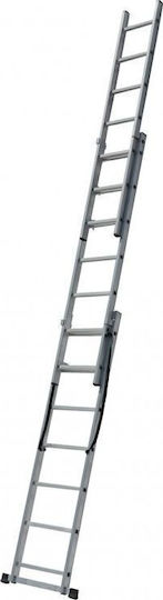 Multipurpose Ladder 3x9