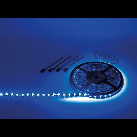 Evo Formance LED-Streifen Grün Licht 5m