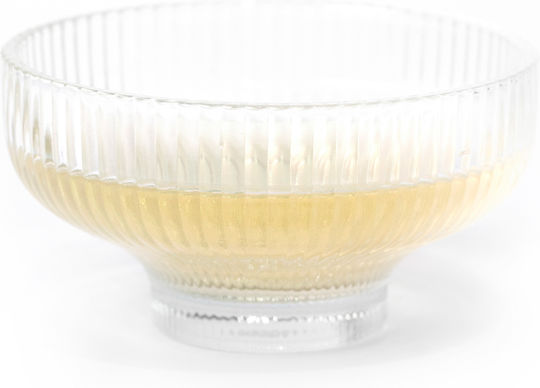 Silver Needles Yin Zhen White Tea China Champion 10g