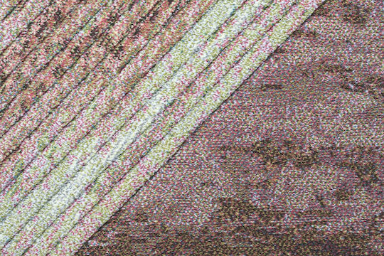 Bekas Carpets Mancini Χαλί Ορθογώνιο Μωβ 133x195cm
