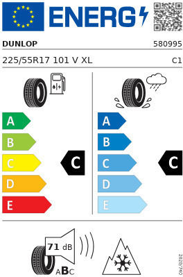 Dunlop Winter 225/55R17 101E-Commerce-Website XL Winter Reifen für Passagier Auto
