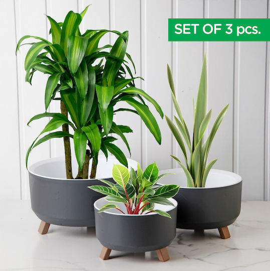 Set 3 Ghivece de Flori Plastice Gri