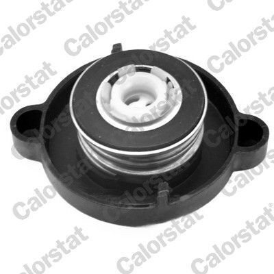 Kühlerdeckel Citroen Ax-Berlingo-Saxo-106-C15-Xsara-Xantia-Z Rc0020-215