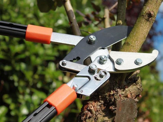 Primus 01100 Branch Pruner for Branches up to 45mm