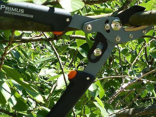 Garden Sport 01105 Bypass-Astschere Für Äste Bis 35mm