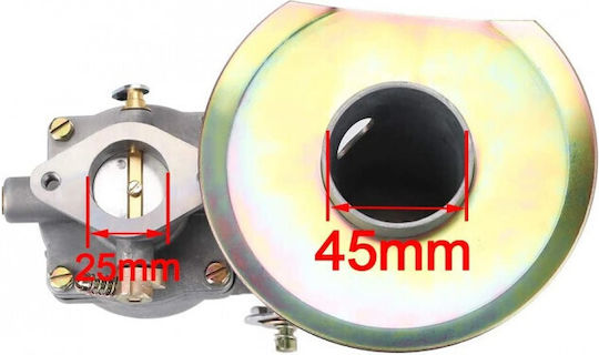 Carburetor Briggs&stratton 392587 391065 391074