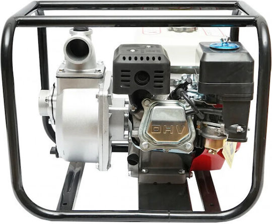 Pompa de apă de suprafață electrică 6.5hp