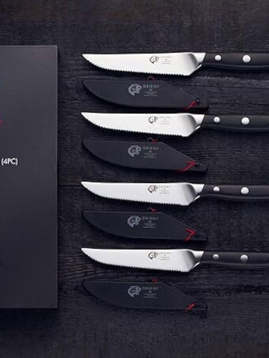 Orient Messerset aus rostfreiem Stahl 4Stück