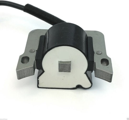 Chinesischer Bürstenschneider Zündspule Ruris Dac 210 Dac 310