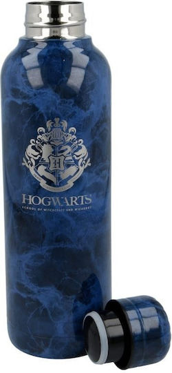 Harry Potter Παιδικό Παγούρι Harry Potter Ανοξείδωτο Non Spill Γκρι 515ml