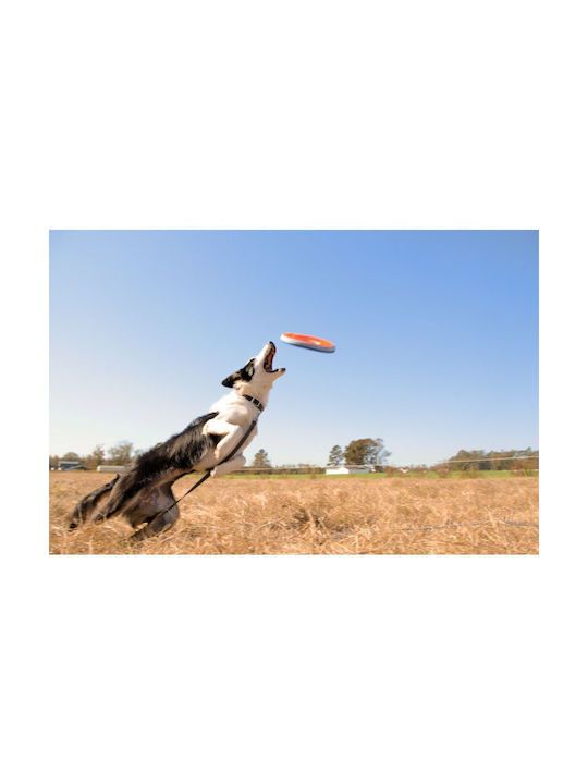 Chuckit Zipflight Jucărie Din Țesătură Pentru Câini Mărimea Mediu Portocalie Chuckit Zipflight Jucărie Din Țesătură Pentru Câini Mărimea Mediu Portocalie
