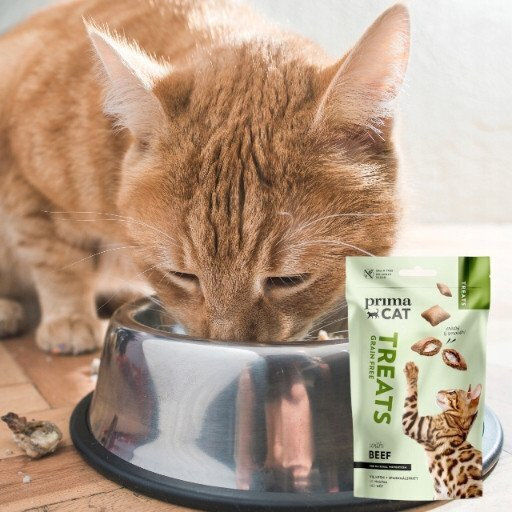 Prima Cat Leckerlis Getreidefrei Mit Kalb Für Erwachsene Katzen 40gr