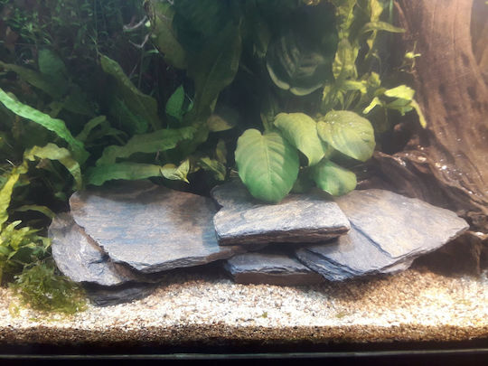 Sera Reef Salt Aquarium Wasserbehandlung 20kg