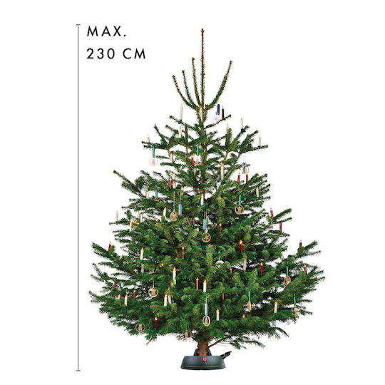 Length 11cm.
