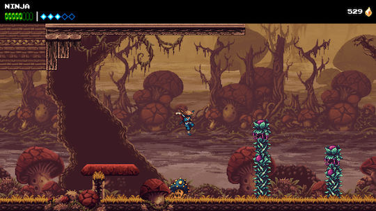 Double Dragon Revive Limited Edition Switch Game